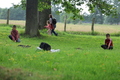 Hier tanzt der Bär