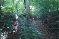 Roßbach tanz - Im Märchenwald
