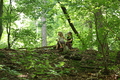 Roßbach tanz - Im Märchenwald