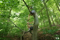 Roßbach tanz - Im Märchenwald
