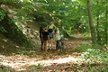 Roßbach tanz - Im Märchenwald