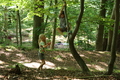 Roßbach tanz - Im Märchenwald