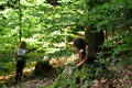 Roßbach tanz - Im Märchenwald