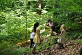 Roßbach tanz - Im Märchenwald