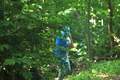 Ein Sommerwaldstraum