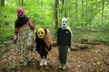 Ein Sommerwaldstraum