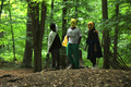 Ein Sommerwaldstraum