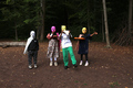 Ein Sommerwaldstraum
