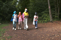 Ein Sommerwaldstraum