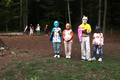 Ein Sommerwaldstraum