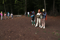 Ein Sommerwaldstraum