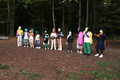 Ein Sommerwaldstraum